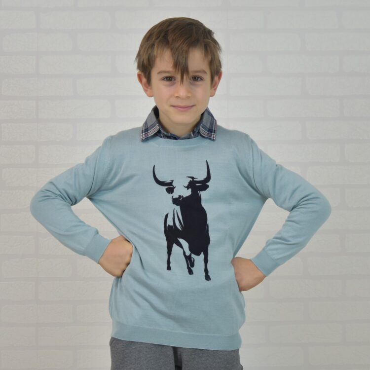 maglia bambino in cashmere stampata