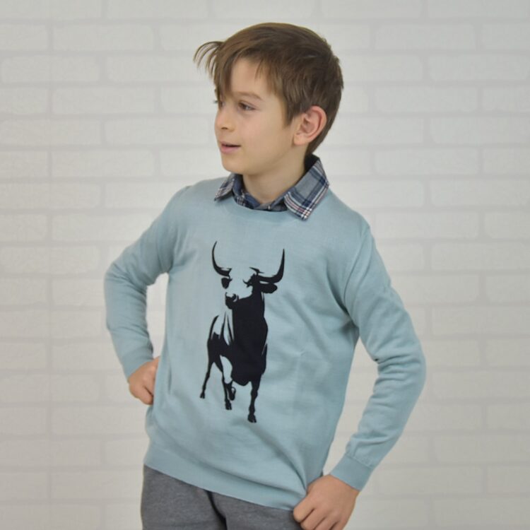 maglia bambino in cashmere stampata